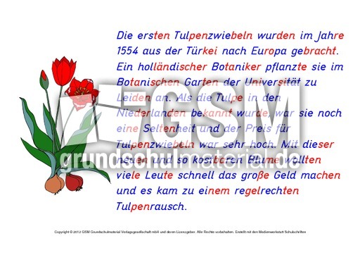 Tulpe-Abschreibtexte 6.pdf